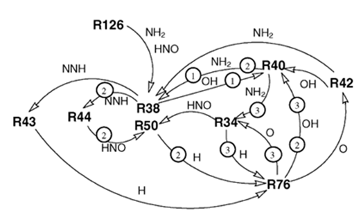 detailed kinetics for a reaction